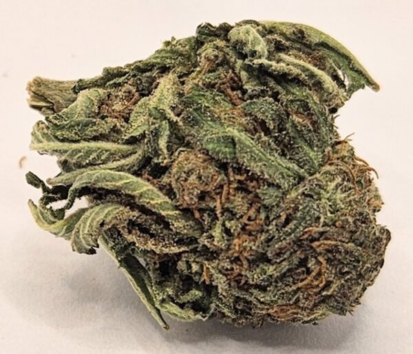 <font color="#ed08fa">NEW!</font> Poison Mimosa <font color="#0810FA"> 🎁 Holiday Sale!$50/Oz </font>